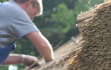 professional South Darenth thatchers