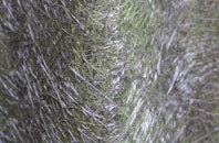 South Darenth fibreglass roof work