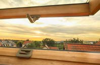 rated South Darenth roof window companies